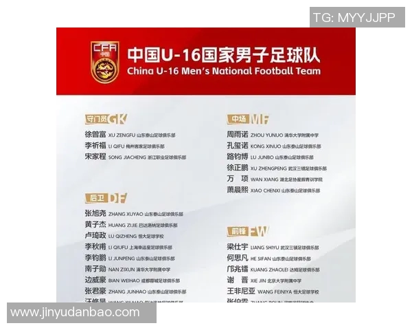 山东足球明星汇总及其成就分析与发展前景探讨