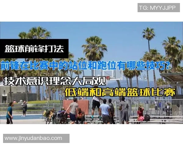 明星篮球技能包助你提升球技成就梦想篮球之路