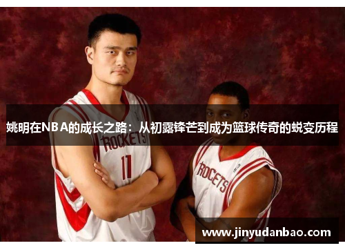 姚明在NBA的成长之路：从初露锋芒到成为篮球传奇的蜕变历程