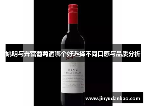 姚明与奔富葡萄酒哪个好选择不同口感与品质分析